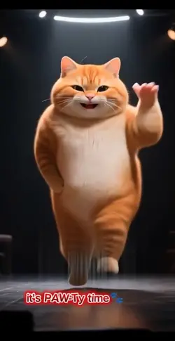 Dancing Ai Cat