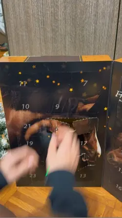 Advent calendar 2025