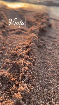 Viața