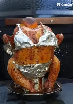 Filtre poulet