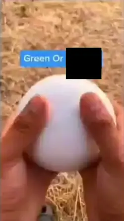 CAT OR GREEN?