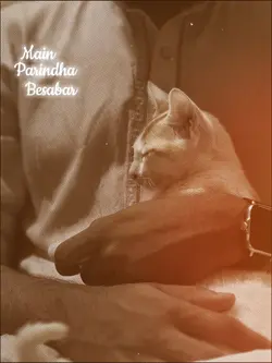 Main Parindha Besaba