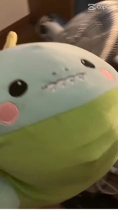 Comfort thing chain!