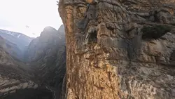 Bad boy chiller crew