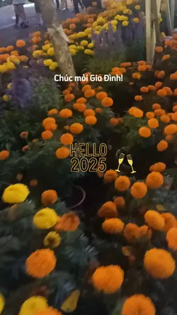 Hoa Mùa Xuân