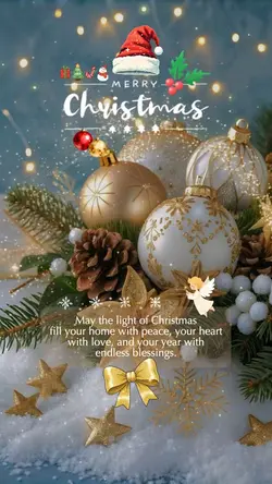 Merry Christmas 🎄⭐️