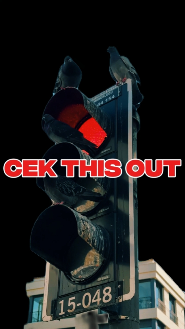 17 Klip Sinematik 