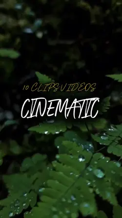 10 CLIPS VIDEOS