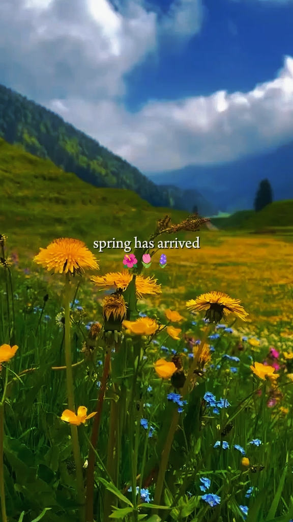 La primavera ha llegado 