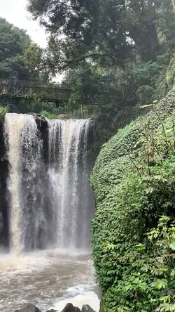 mendaki gunung