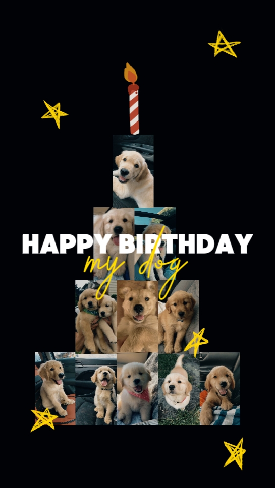 CUMPLEAÑOS mi perro