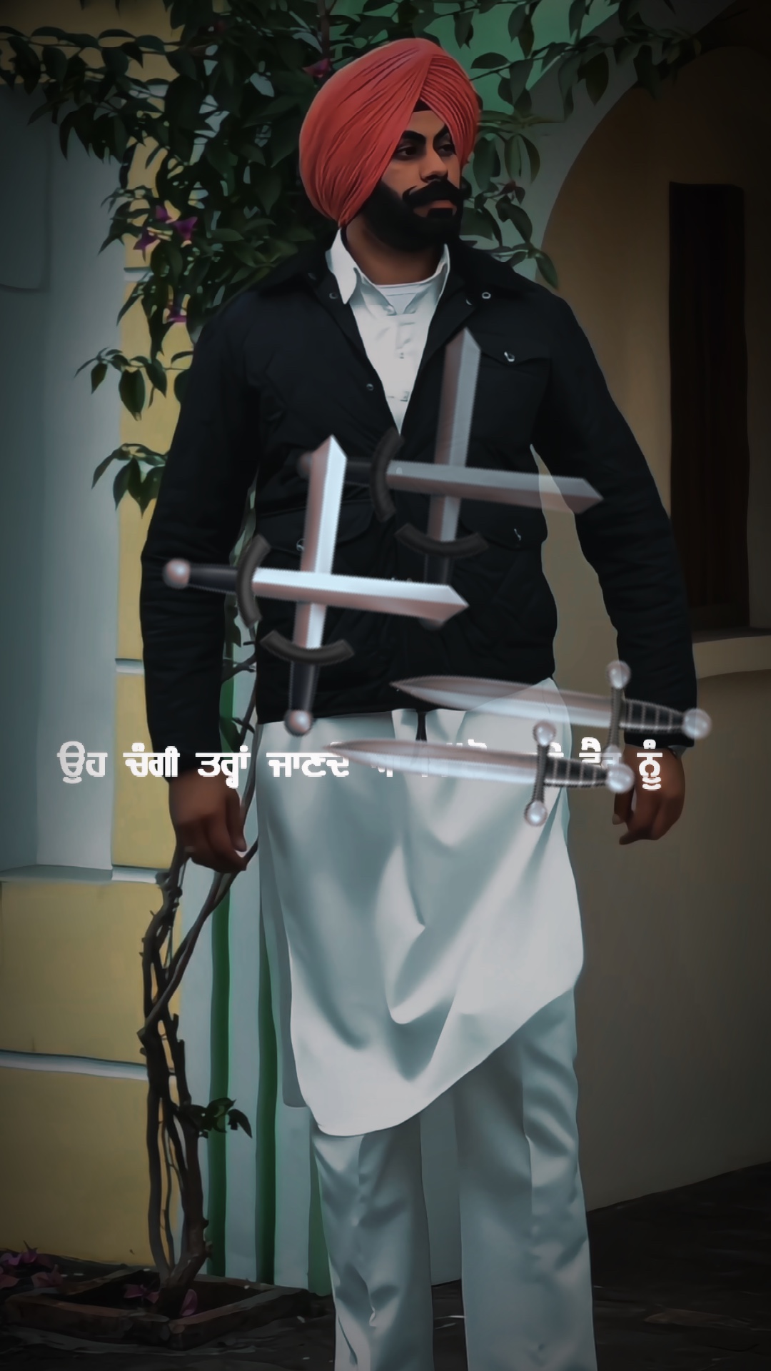 Cover Picture