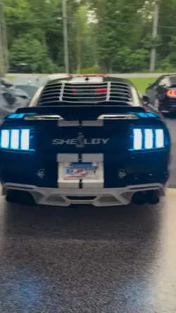Shelby 