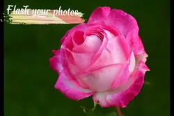 Flash your photo 