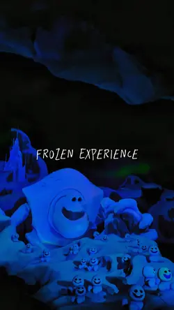 Frozen Experience