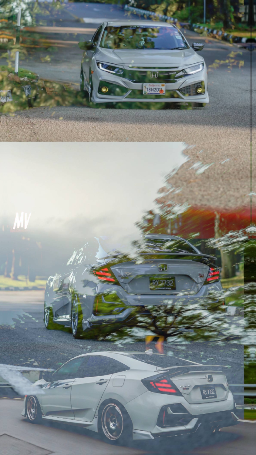 Cover Picture