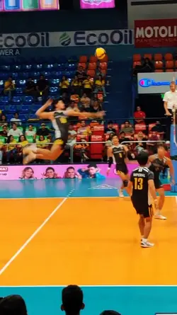 Volleyball Highlight