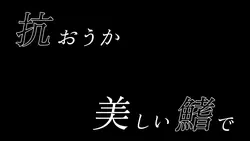 美しい鰭/スピッツ