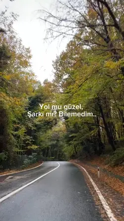 Yıkılır köprüler 