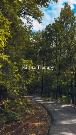 Nature Therapy