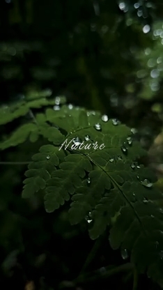 Nature