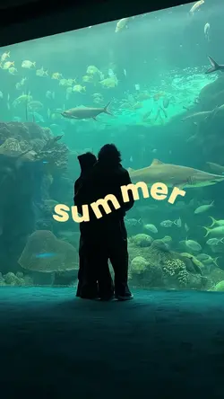 summer 2026