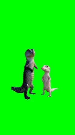 2 Crocs Dancing 
