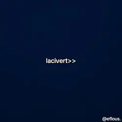 lacivert.