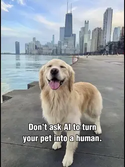 PET TO HUMAN 