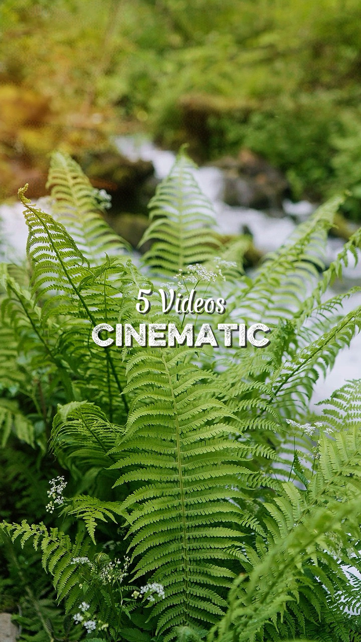 5 Videos Cinematic
