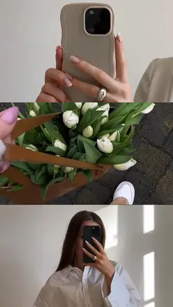 3grid video