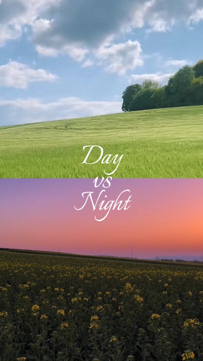 Día vs Noche