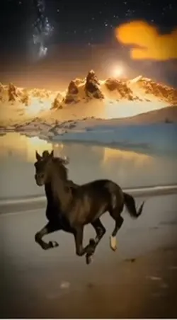 🐎 Arabian wind 🐎