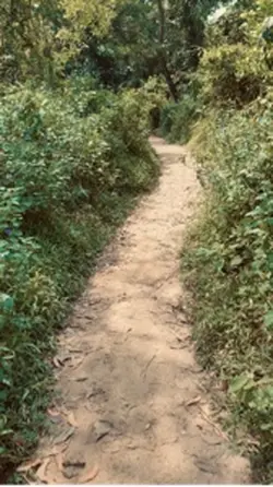 kata kata gunung