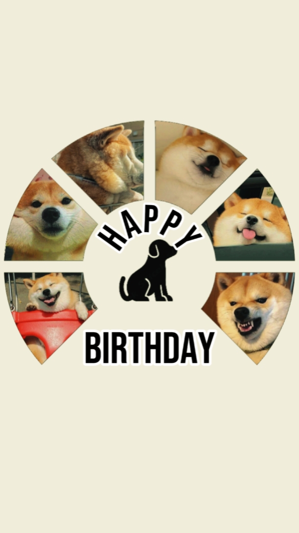CACHORRO DE ANIVERSÁRIO