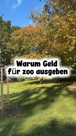 Zooklasse