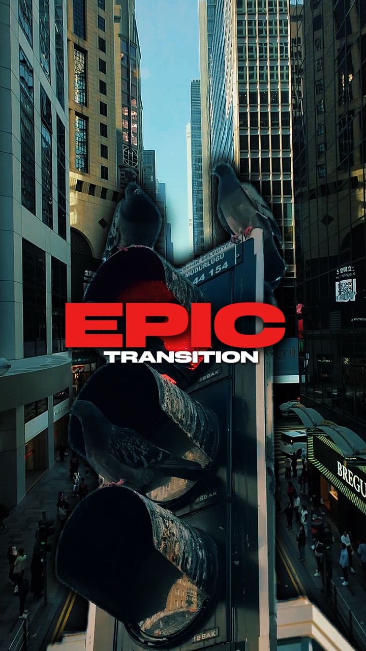 TRANSICIÓN ÉPICA 