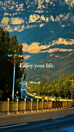 enjoy