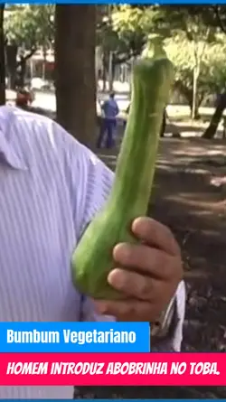 Toba Vegetariano 