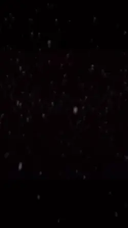 私をいじめたらのやつです!