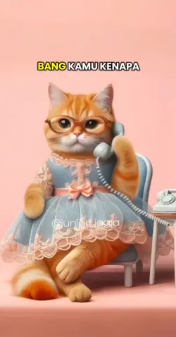 kucing lucu