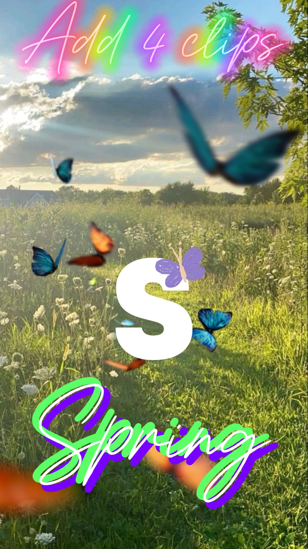 Carta de primavera 