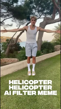 Helicopter filter