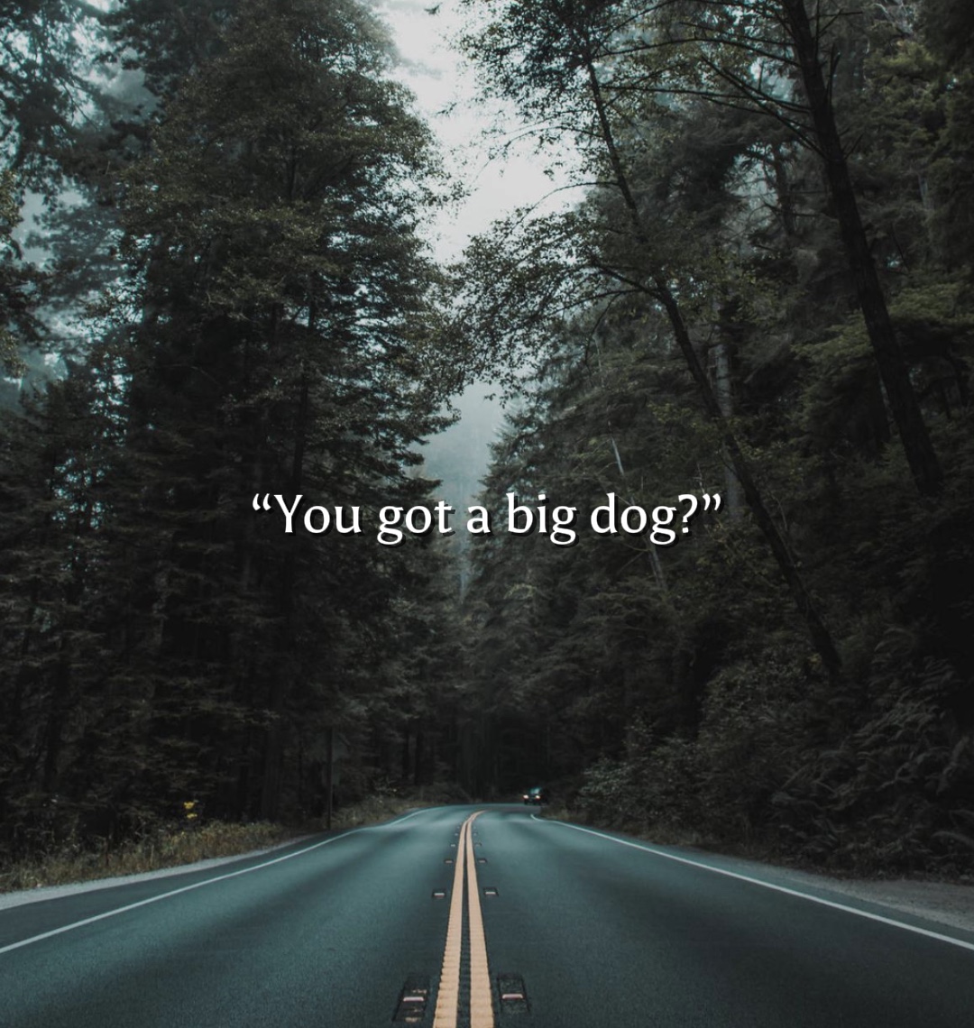 Haben Sie einen großen Hund?