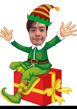 Christmas decoration