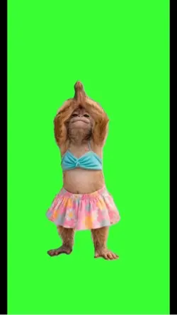Dancing monkey