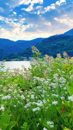 أُحِبُ الوَفاء.جوده4k