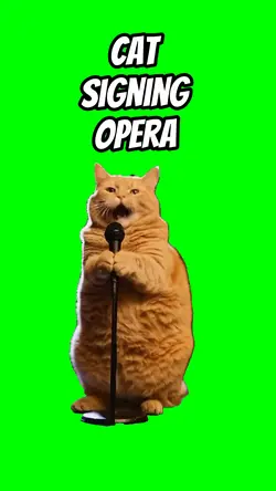 Cat singing opera
