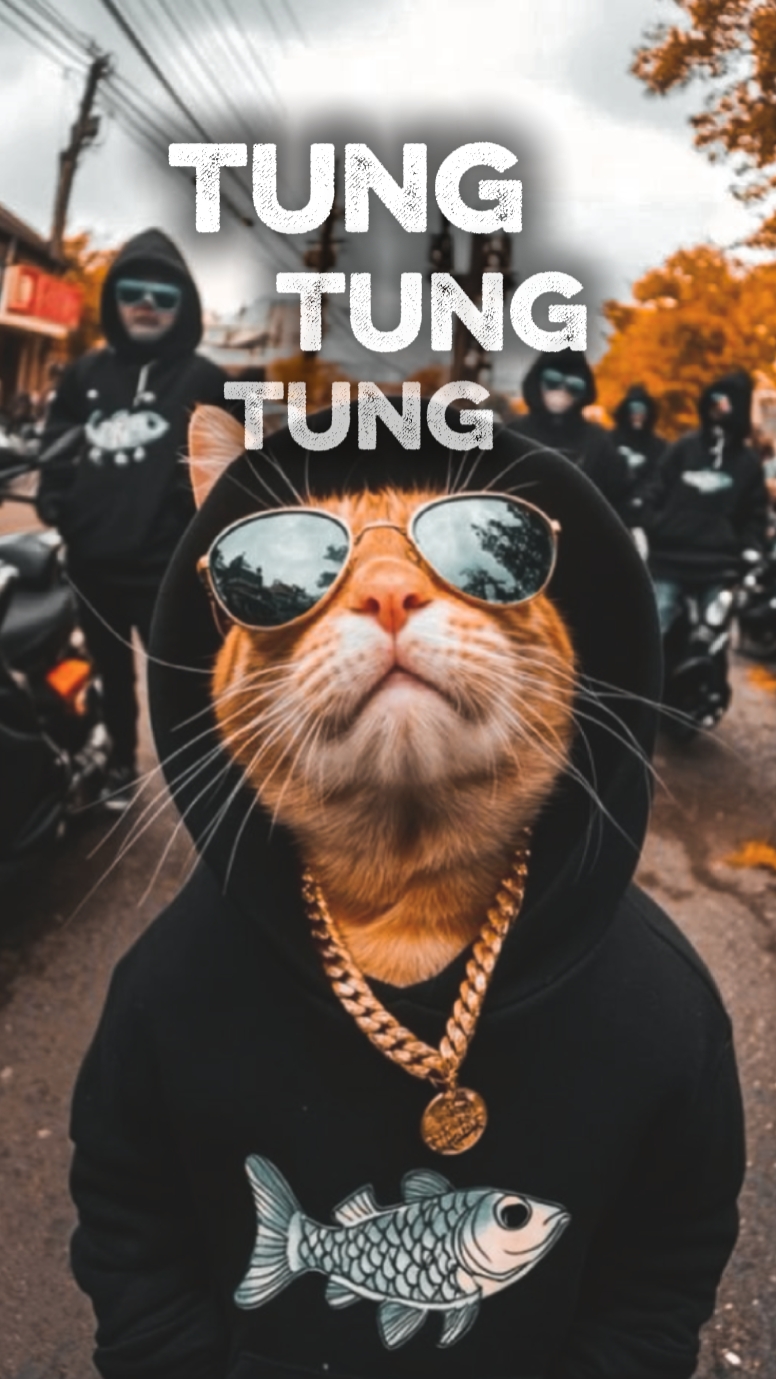 tung tung tung 1foto