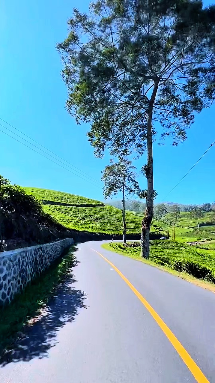 günlük yolculuk